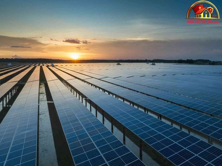 Chính sách điện mặt trời mái nhà: Lợi ích và triển vọng 2026