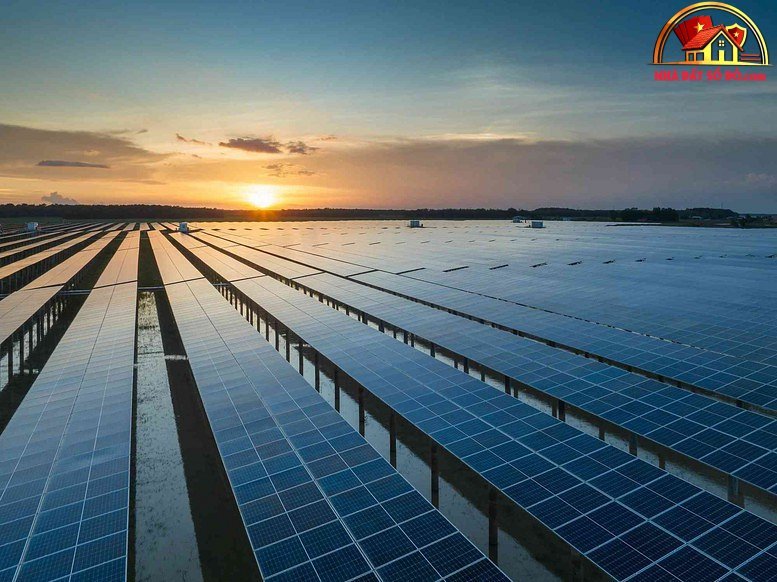 Chính sách điện mặt trời mái nhà: Lợi ích và triển vọng 2026
