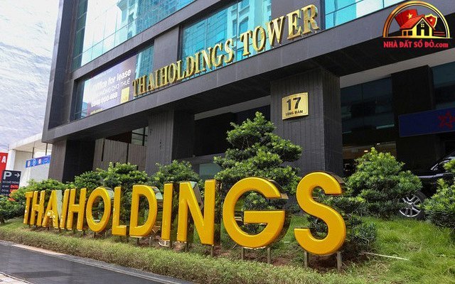 Phân Tích Tình Hình Tài Chính Của Thaiholdings 2026