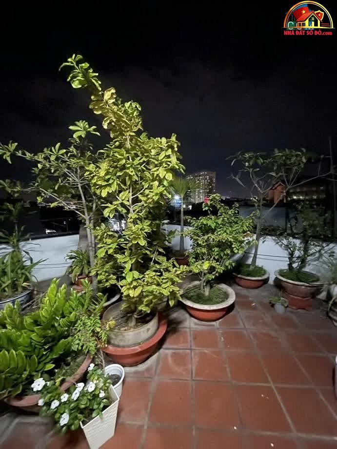 Bán nhà đất Đường Tân Thới Nhất 1B – Phường cũ Tân Thới Nhất Quận 12 – Phường mới Tân Thới Nhất – Thành phố Hồ Chí Minh 50 m2 – 7.3 tỷ