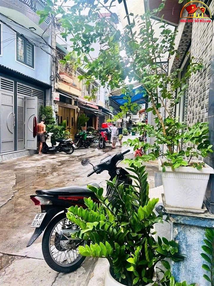 Bán nhà đất Đường Nguyễn Tri Phương – Phường cũ 8 Quận 10 – Phường mới 8 – Thành phố Hồ Chí Minh 31 m2 – Giá thỏa thuận