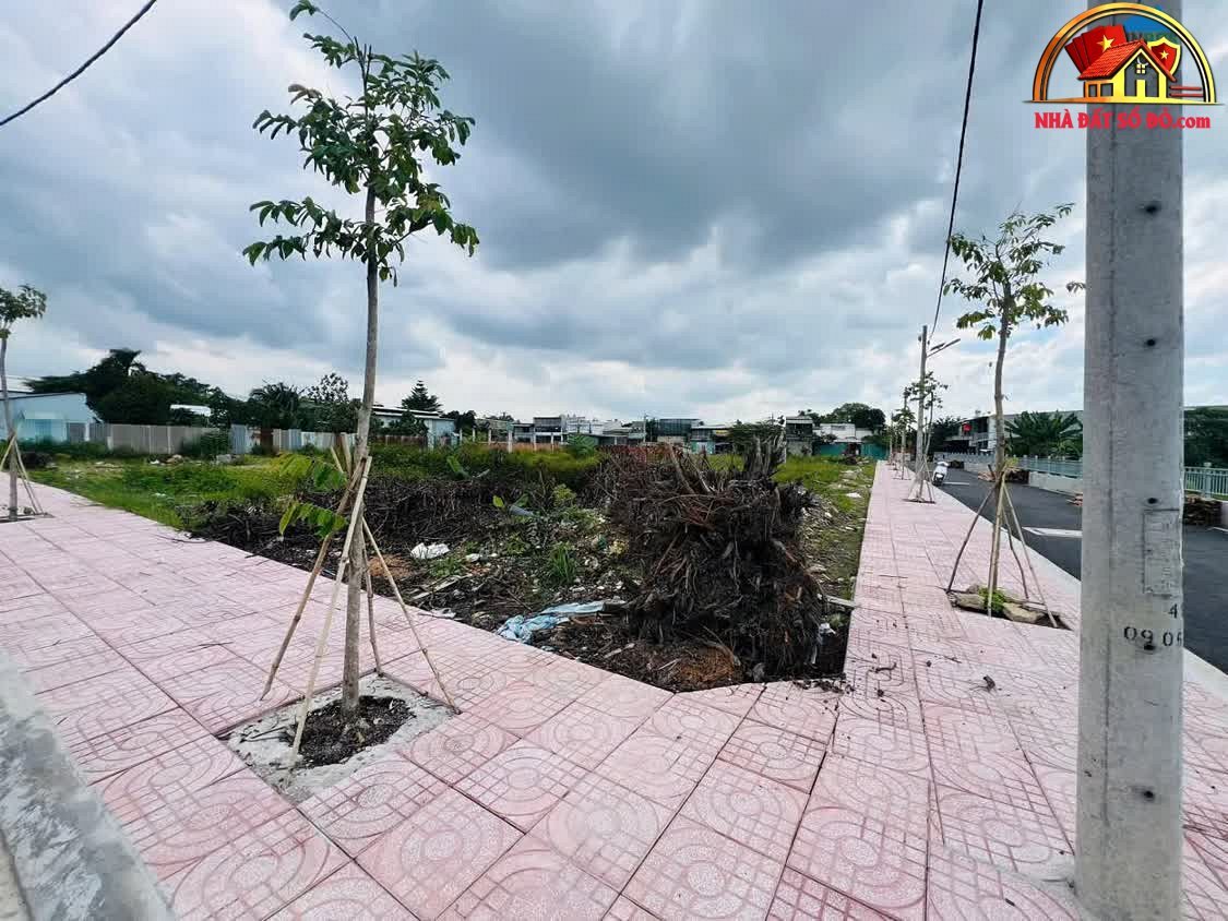 Bán đất nền Thạnh Xuân 25 – Quận 12 – Thành phố Hồ Chí Minh – 100 m² – 4.35 tỷ