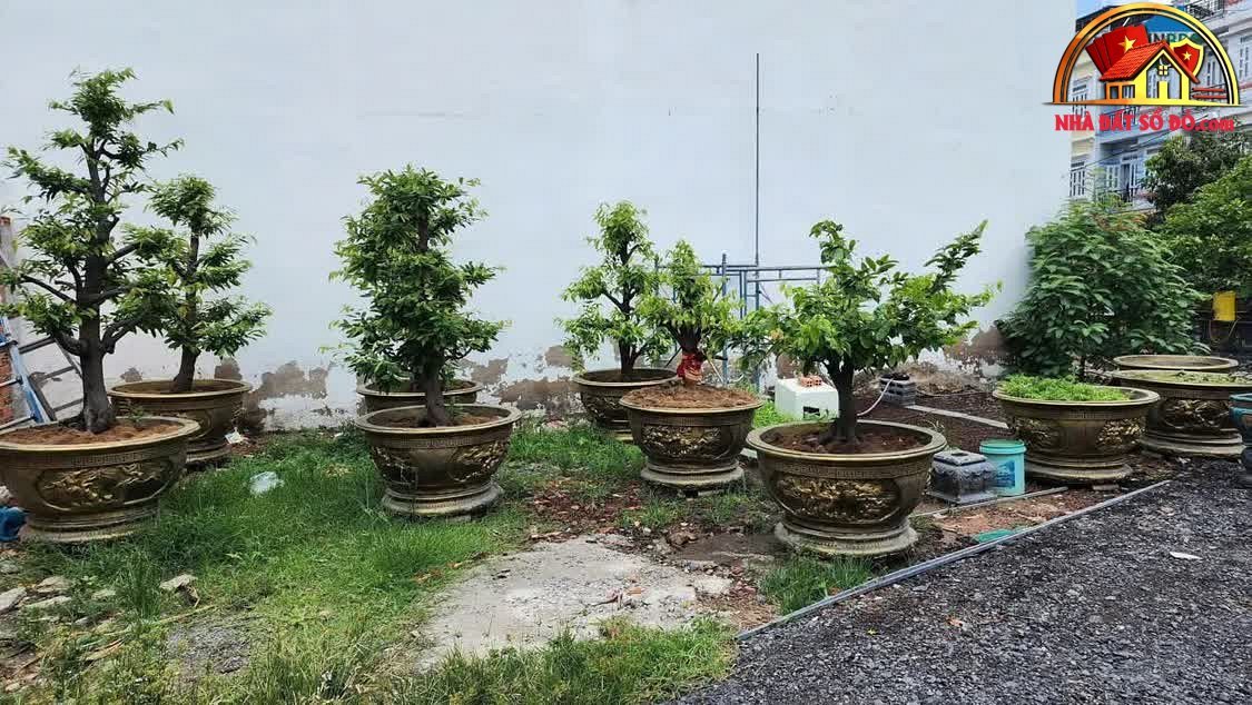 Bán đất Đường Thạnh Xuân 22 – Phường cũ Thới An Quận 12 – Phường mới Thới An – Thành phố Hồ Chí Minh diện tích 60 m² giá 4.1 tỷ