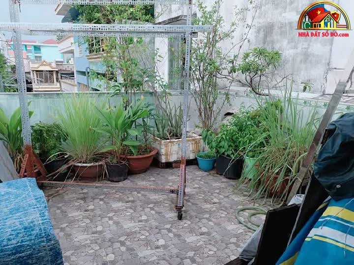 Bán nhà đất Đường Nguyễn Chí Thanh – Phường cũ Quận 11 – Phường mới Quận 11 – Thành phố Hồ Chí Minh diện tích 37 m² giá 6.7 tỷ
