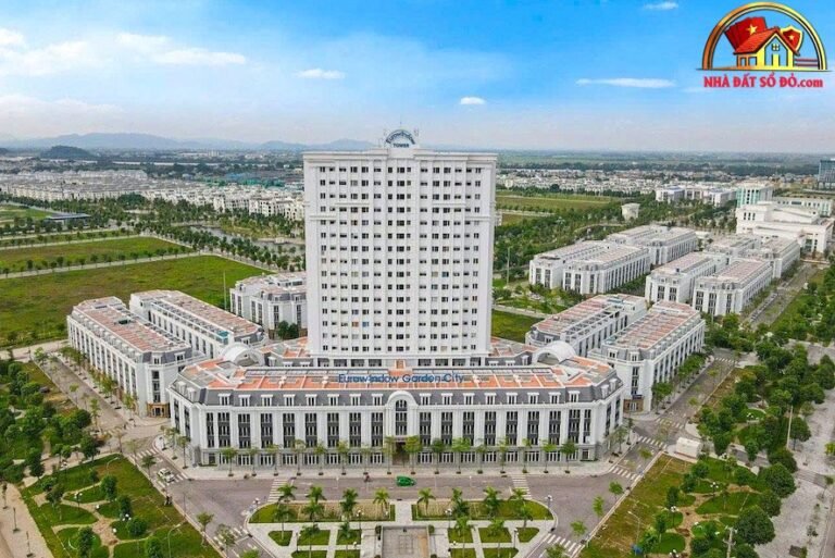 Đấu Giá 8 Ha Đất Tại Thanh Hóa: Cơ Hội Đầu Tư Hấp Dẫn 2026