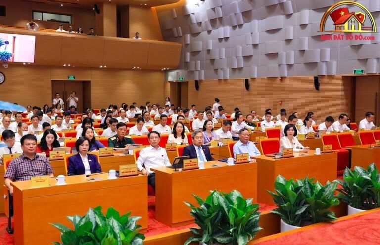 Hà Nội Sắp Xếp Cơ Quan Chuyên Môn: Cải Cách Quản Lý Hiệu Quả