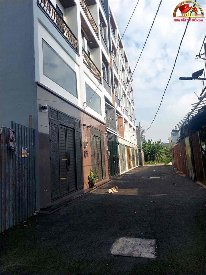 Bán nhà đất Đường Mã Lò – Phường cũ Bình Trị Đông Quận Bình Tân – Phường mới Bình Trị Đông – Thành phố Hồ Chí Minh 56m2 6 tỷ