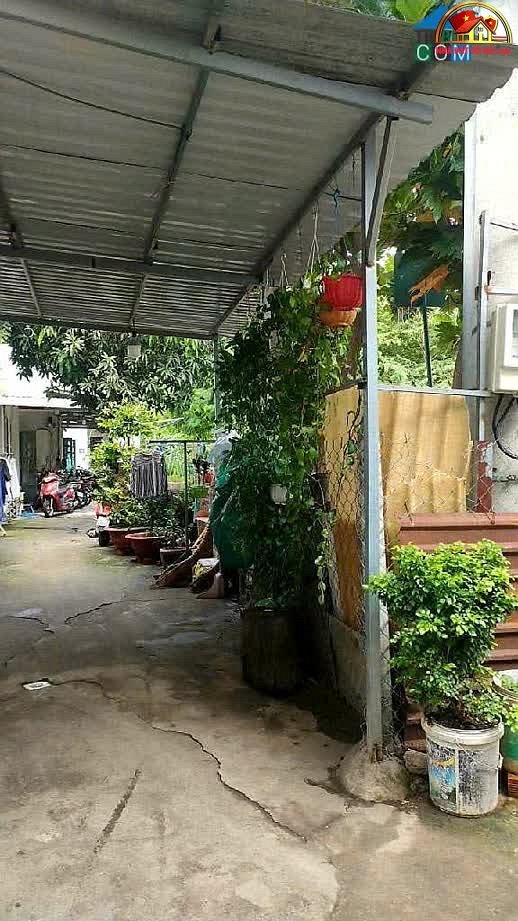 Bán đất Đường Tân Thới Nhất – Phường cũ Tân Thới Nhất Quận 12 – Phường mới Tân Thới Nhất – Thành phố Hồ Chí Minh Diện tích 1015 m² Giá 50.99 tỷ