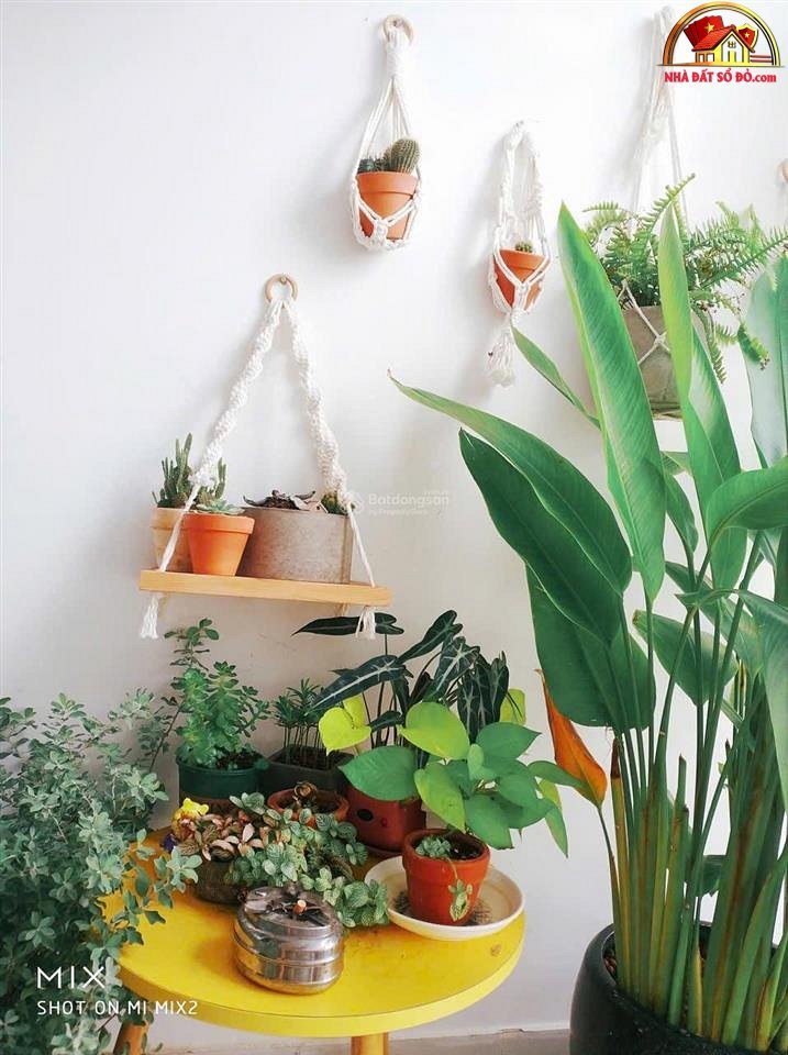 Bán nhà đất đường Phan Văn Hớn – Phường cũ Đông Hưng Thuận Quận 12 – Phường mới Tân Thới Nhất – Thành phố Hồ Chí Minh 54 m2 2500000000