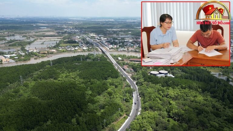 Giá trị bền vững của bất động sản sổ đỏ tại Cần Giờ năm 2026