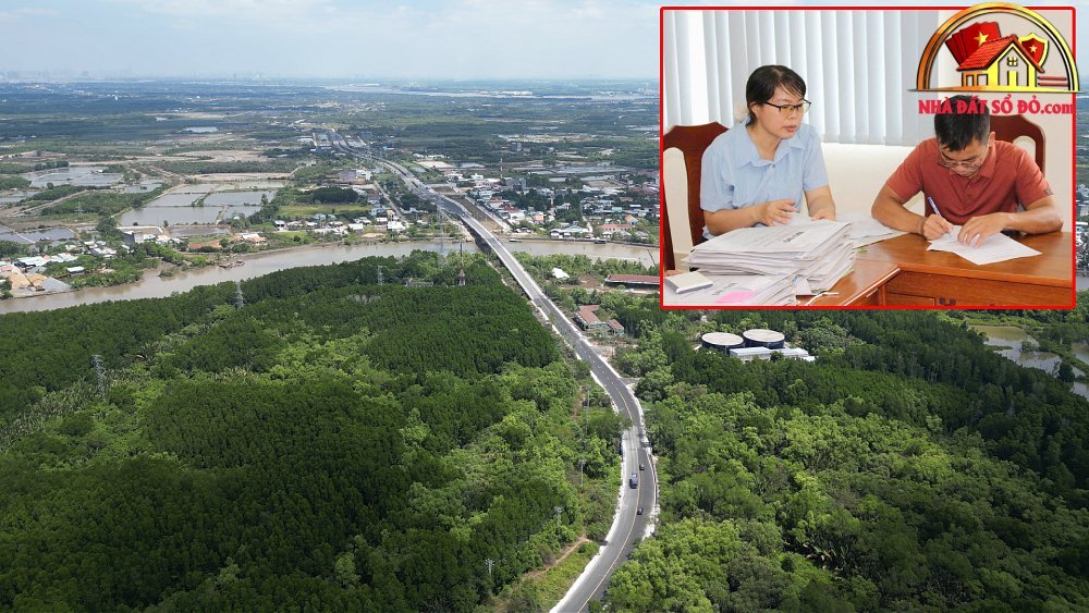 Giá trị bền vững của bất động sản sổ đỏ tại Cần Giờ năm 2026