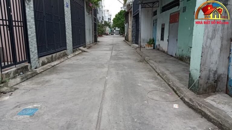 Bán nhà đất Đường Bờ Bao Tân Thắng – Phường cũ Tân Quý Quận Tân Phú – Phường mới Tân Quý – Thành phố Hồ Chí Minh Diện tích 43 m² giá 5.4 tỷ
