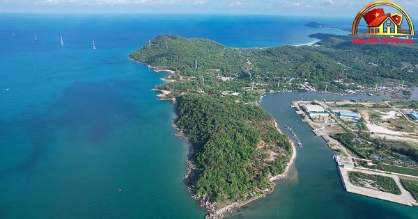 Phân Tích Tình Hình Kinh Tế Dự Án Selavia: Lỗ 148 Tỷ Đồng Trong Nửa Đầu Năm 2026