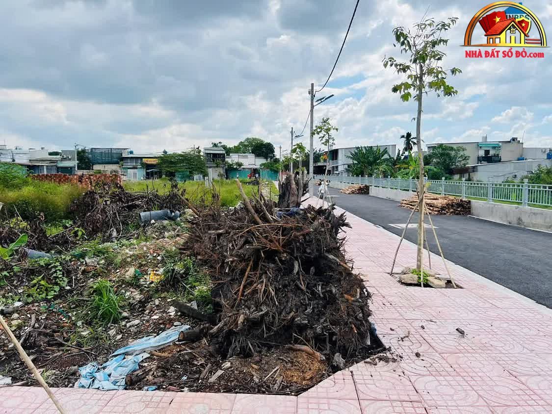 Bán đất nền Thạnh Xuân 25 – Quận 12 – Thành phố Hồ Chí Minh – 100 m² – 4.35 tỷ