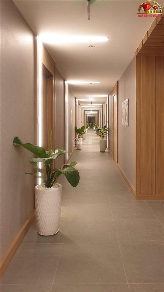 Bán nhà đất Đường Cộng Hòa – Phường cũ 4 Quận Tân Bình – Phường mới 4 – Thành phố Hồ Chí Minh 50 m2 – Giá 2.8 tỷ