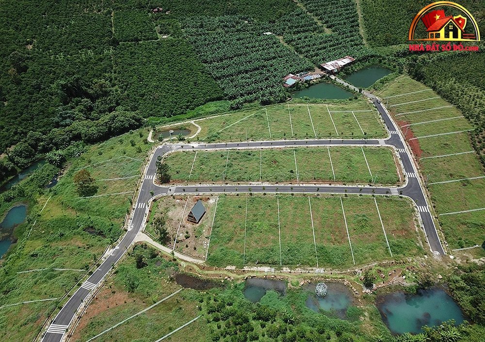Từ 20/8/2026: Lâm Đồng áp dụng quy định tách thửa đất mới- Ảnh 2.
