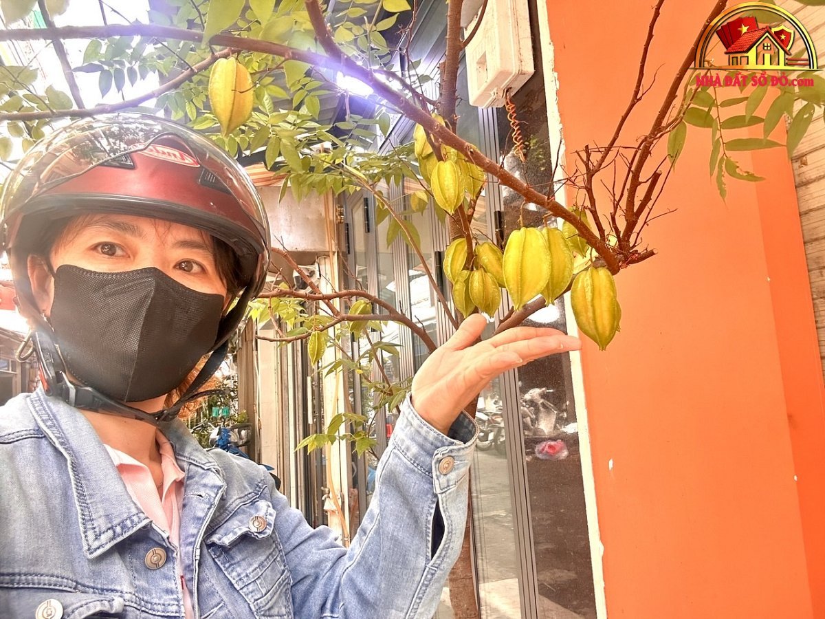 Nhà bán mặt tiền Đường 34 – Phường cũ 6 Quận 4 – Phường mới 6 – Thành phố Hồ Chí Minh diện tích 28m2 giá 8.75 tỷ