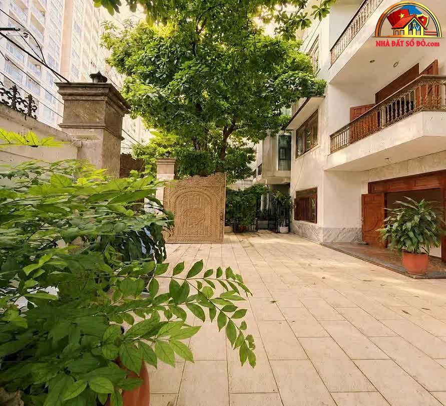 Biệt thự mặt tiền khu sân bay, diện tích 348m2, giá 63.9 tỷ – Bán nhà đất Tân Bình, Hồ Chí Minh
