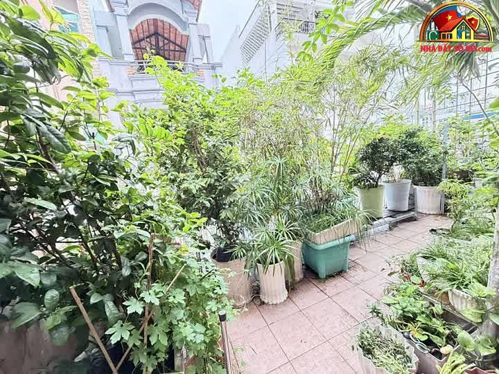 Nhà HXH Thành Thái 3 tầng, 44m² – Chỉ 9.9 tỷ – Đầu tư sinh lời cao