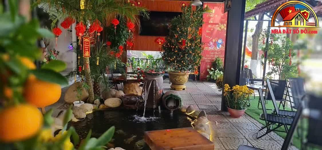 Cơ hội đầu tư vàng với quán cafe và đất liền kề – 250 m² – 14,5 tỷ