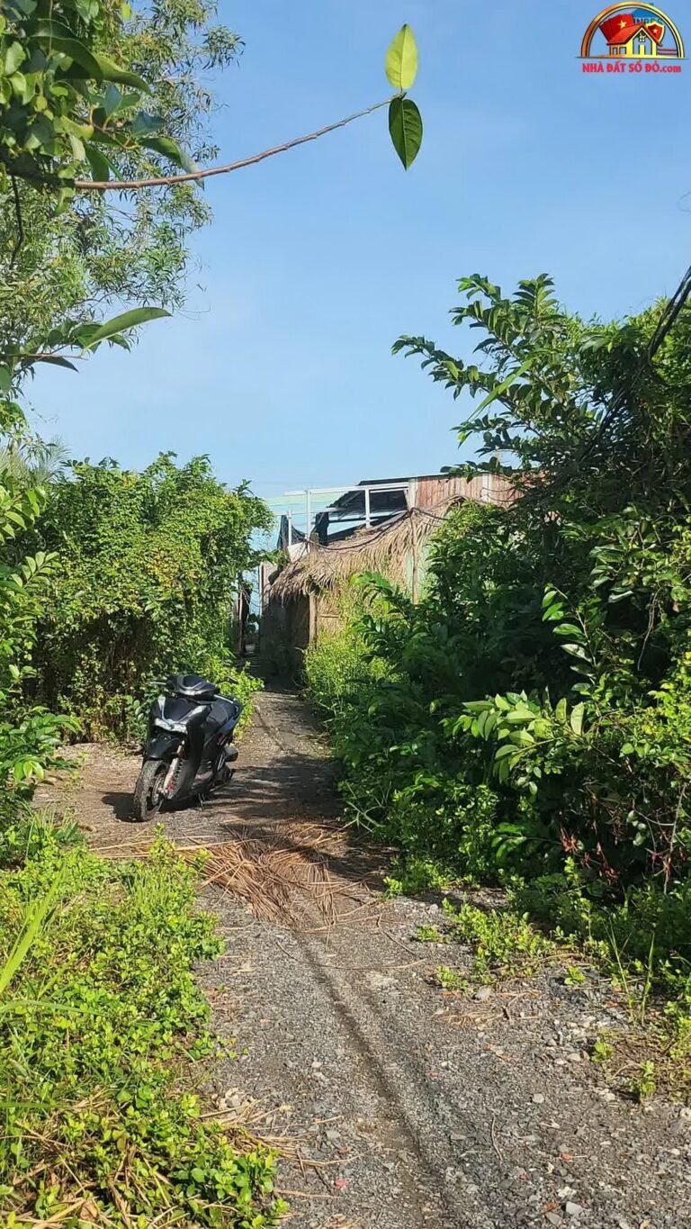 Bán đất mặt tiền hẻm 6m view sông Nhơn Đức, Nhà Bè – 1300m² chỉ 7 tỷ