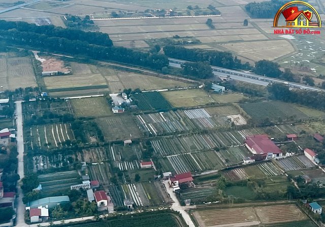 Đấu Giá Khu Đất 3,2 Ha Tại Đông Anh: Cơ Hội Đầu Tư Hấp Dẫn