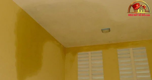 Kinh nghiệm sửa nhà bị thấm dột hiệu quả 2026