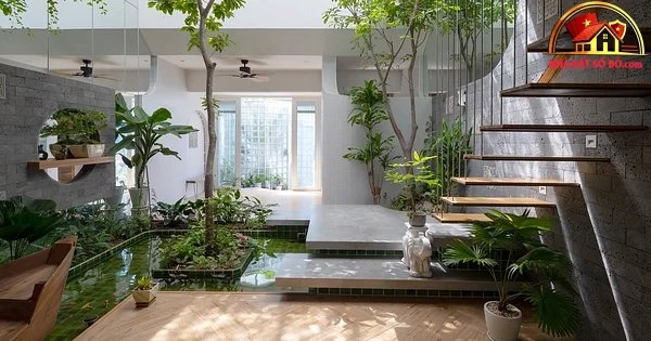 Khám Phá Thiết Kế Nhà Bọc Kính Độc Đáo