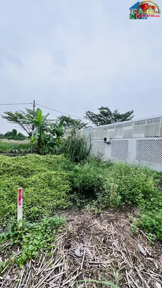 Bán đất hẻm 512 Nguyễn Văn Tạo, diện tích 80m², giá thỏa thuận – Nhà Bè – Hồ Chí Minh – NHÀ ĐẤT BẤT ĐỘNG SẢN SỔ ĐỎ