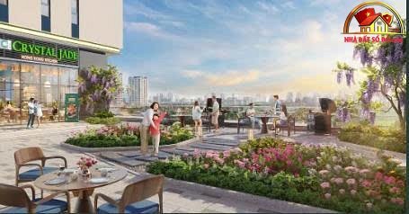 Cần bán gấp căn hộ 91 m² – 9.95 tỷ, view trường đua – The Park Avenue – Quận 11 – NHÀ ĐẤT BẤT ĐỘNG SẢN SỔ ĐỎ