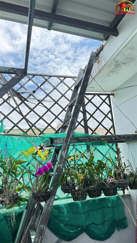 Bán nhà hẻm rộng, 4PN, 6WC, giá hót 7.3 tỷ – Nguyễn Chí Thanh – Quận 11 – NHÀ ĐẤT BẤT ĐỘNG SẢN SỔ ĐỎ