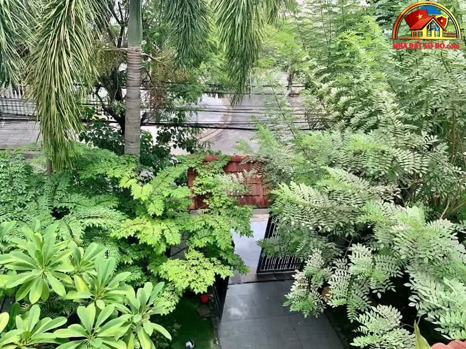 Biệt thự sân vườn 3 tầng, ngang 9m – Chỉ 19 tỷ – Thiên đường sống đẳng cấp tại Hải Châu – Đà Nẵng