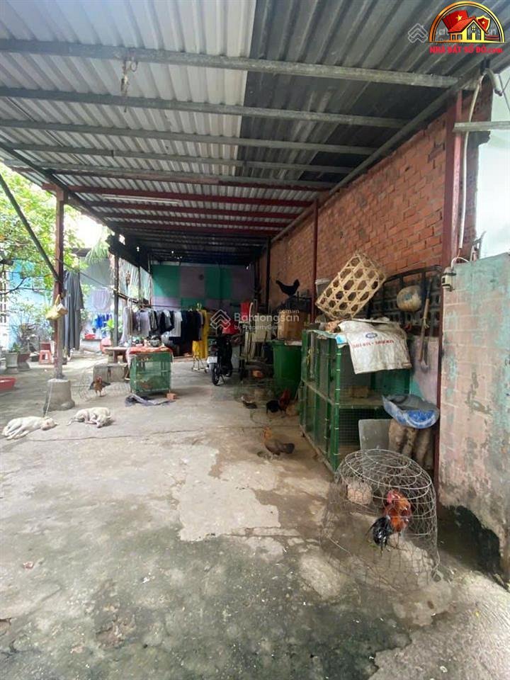 Mặt tiền 20m, đất rộng 430m², giá 26 tỷ cực đẹp – bán nhanh quỹ đất quý giá – NHÀ ĐẤT BẤT ĐỘNG SẢN SỔ ĐỎ