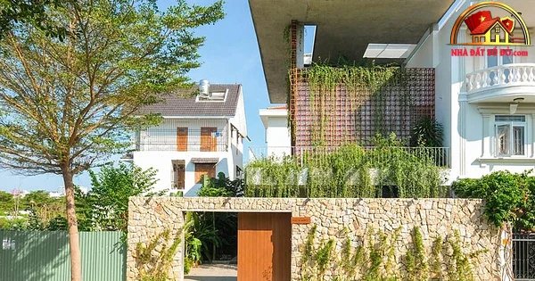 Khám Phá Biệt Thự Hiện Đại Với Giải Pháp Che Nắng Từ Dây Leo
