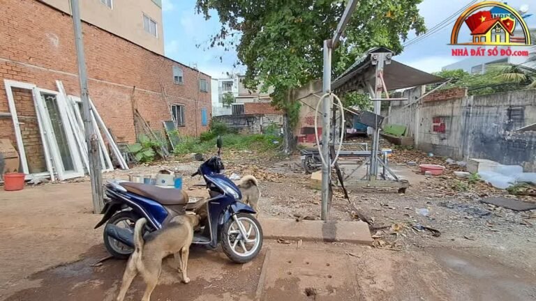 Bán đất giá tốt hẻm 5m Hiệp Bình Chánh, 248m² &#82… – Bán đất Huyện Bình Chánh – TP Hồ Chí Minh giá 10 – 15 tỷ
