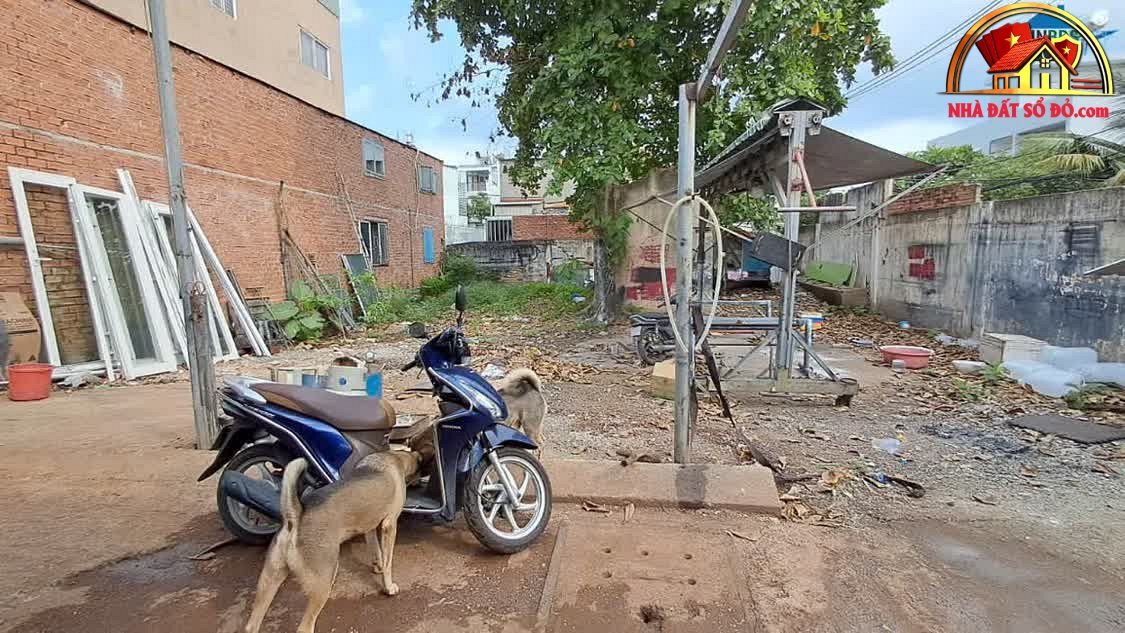 Bán đất giá tốt hẻm 5m Hiệp Bình Chánh, 248m² &#82… – Bán đất Huyện Bình Chánh – TP Hồ Chí Minh giá 10 – 15 tỷ