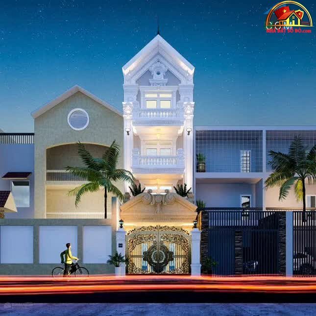 Mặt tiền Tân Canh, 93.7m², Giá chỉ 32 tỷ – BĐS Siêu Vip Tân Bình