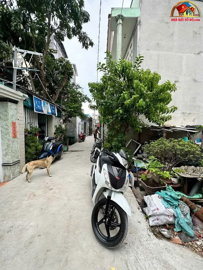 Đất nền 55m² giá chỉ 3,15 tỷ – Nhà Bè, Hồ Chí Minh – Cơ hội đầu tư hấp dẫn!