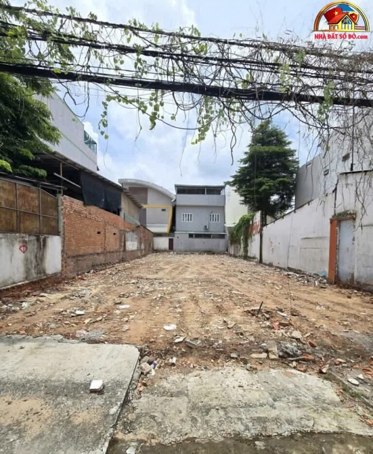 Bán đất mặt tiền đường số 8 phường An Phú Quận 2, Hồ Chí Minh – Cơ hội đầu tư giá trị 290m² chỉ 65 tỷ