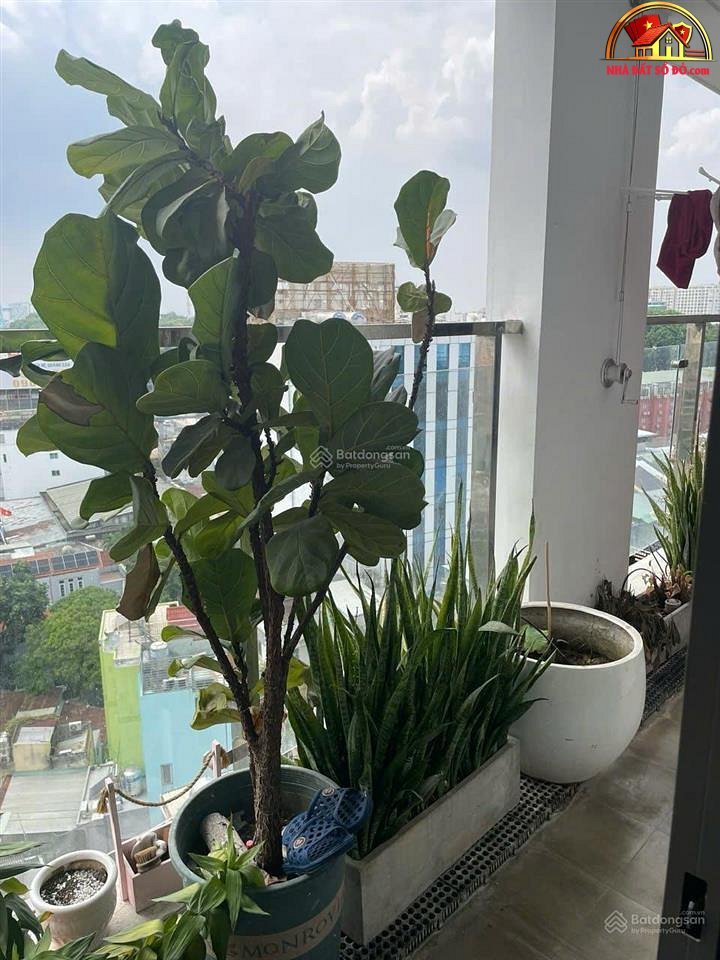 Nhà chung cư 78m² tại Kingston Residence, Phú Nhuận – Giá 7.2 tỷ – NHÀ ĐẤT BẤT ĐỘNG SẢN SỔ ĐỎ