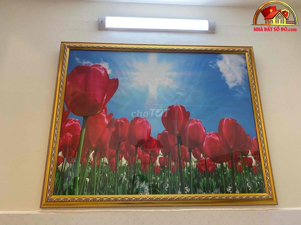 Căn hộ chung cư tiện nghi gần trung tâm – 55m2 chỉ 3.3 tỷ – NHÀ ĐẤT BẤT ĐỘNG SẢN SỔ ĐỎ