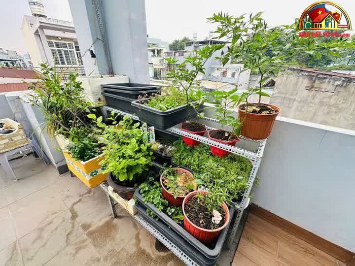 Nhà 3 tầng lô góc 75m² chỉ 7.89 tỷ, cơ hội đầu tư tại Thủ Đức – NHÀ ĐẤT BẤT ĐỘNG SẢN SỔ ĐỎ