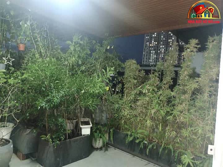 Căn nhà 5 phòng ngủ sân thượng, hẻm xe tải – Quận 2 – Hồ Chí Minh – NHÀ ĐẤT BẤT ĐỘNG SẢN SỔ ĐỎ
