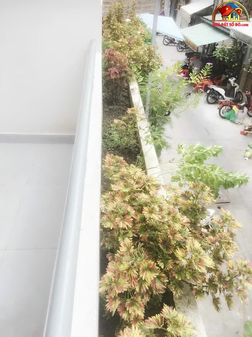 Bán nhà hẻm xe hơi, vị trí đắc địa Nguyễn Trãi, 64m², giá 14 tỷ – NHÀ ĐẤT BẤT ĐỘNG SẢN SỔ ĐỎ