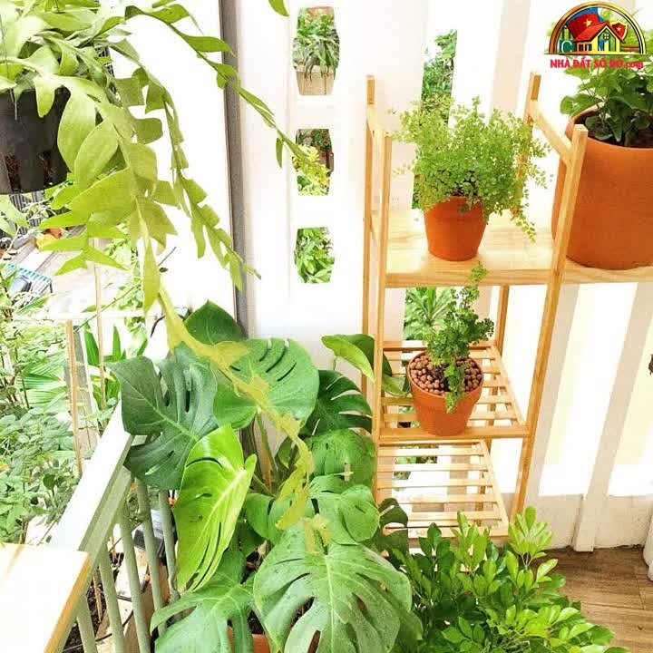 Nhà đất sổ đỏ 34m² hẻm Thích Quảng Đức Phú Nhuận g… – Bán nhà trong ngõ, hẻm Quận Phú Nhuận – TP Hồ Chí Minh giá 5 – 7 tỷ