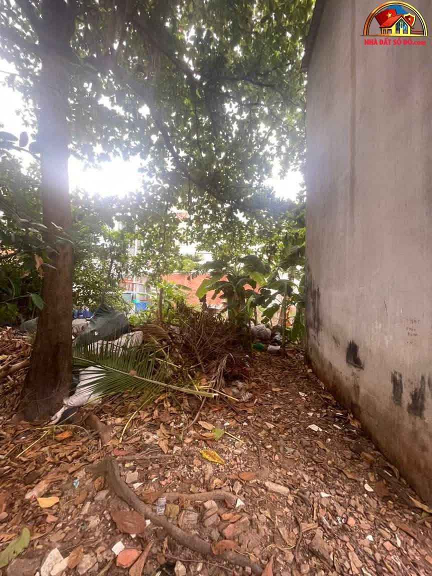 Bán đất sổ đỏ khu dân cư Tân Hòa Đông Quận 6 Hồ Chí Minh giá 1,6 tỷ
