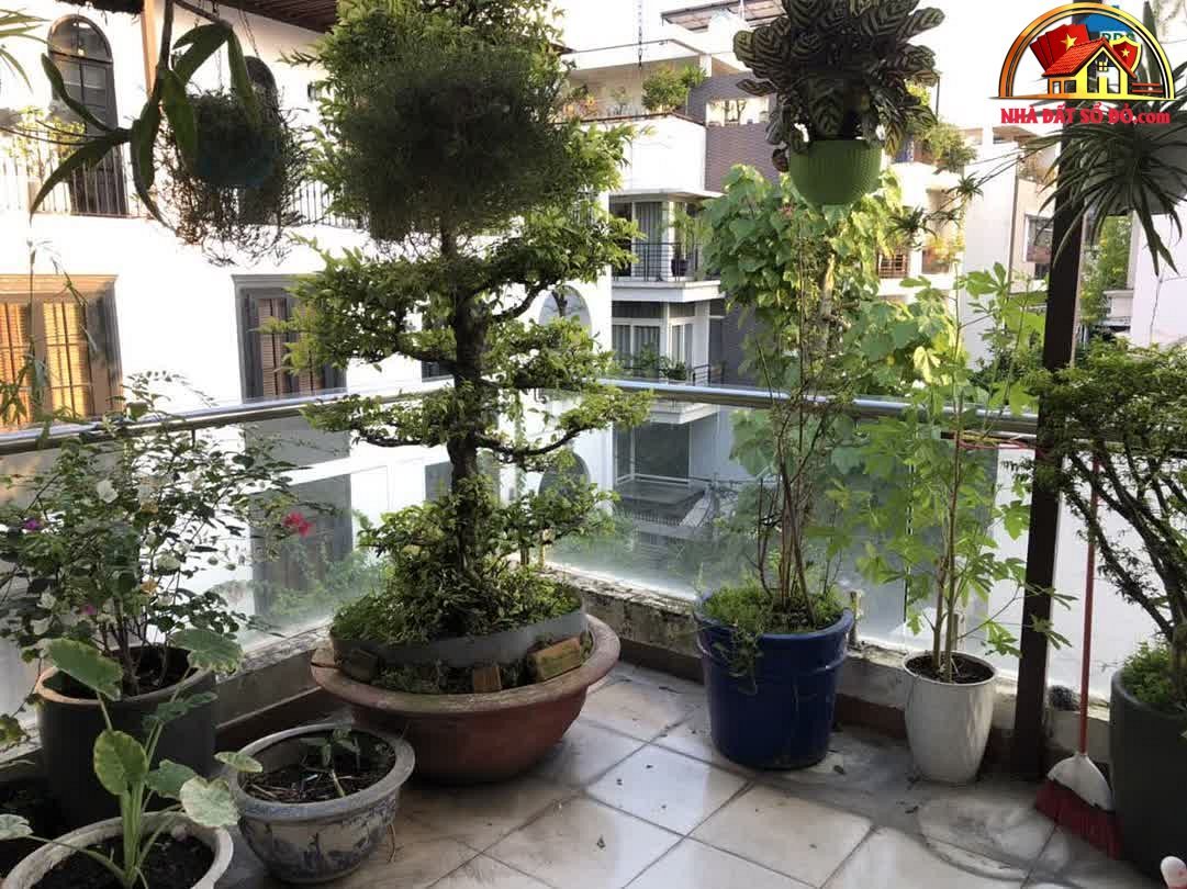 Nhà đất sổ đỏ Quận 3 TP.HCM: Biệt thự 5 tầng sang trọng chỉ 41 tỷ