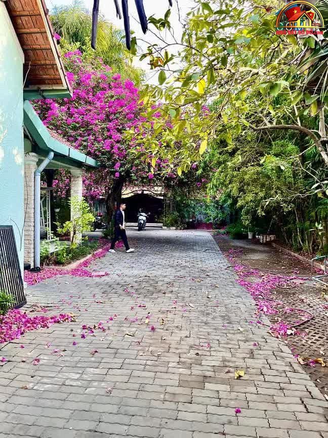 Bán nhà đất sổ đỏ Nhà Bè Hồ Chí Minh – Biệt thự sân vườn 1200m2 chỉ 64.8 tỷ