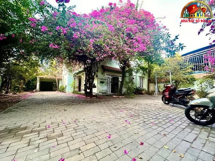 Bán nhà đất sổ đỏ Nhà Bè Hồ Chí Minh – Biệt thự sân vườn 1200m2 chỉ 64.8 tỷ