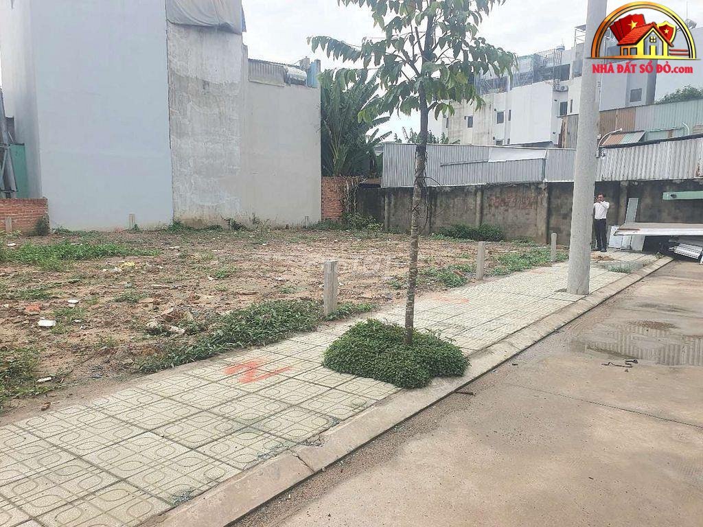 Nhà đất sổ đỏ Tân Thới Hiệp Quận 12 TP.HCM giá 3.7 tỷ diện tích 60m2